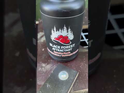 HC99 - Gennemgangs mår træ-fælde (LBH:99x19x24)
